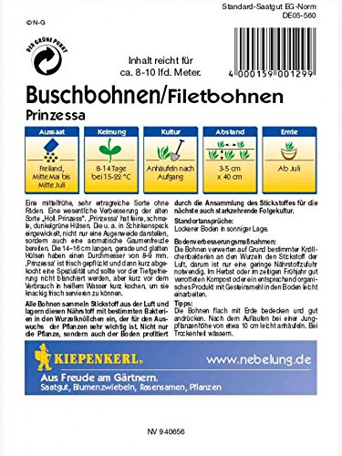 Buschbohnen Prinzessa optimale Verbesserung für Dopp. Holl. Prinzess - 2