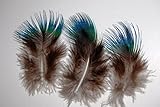 ERGEOB Pfauenfedern blaufedern DIY Basteln Federn 6-8 cm (2-3 Zoll) Länge -