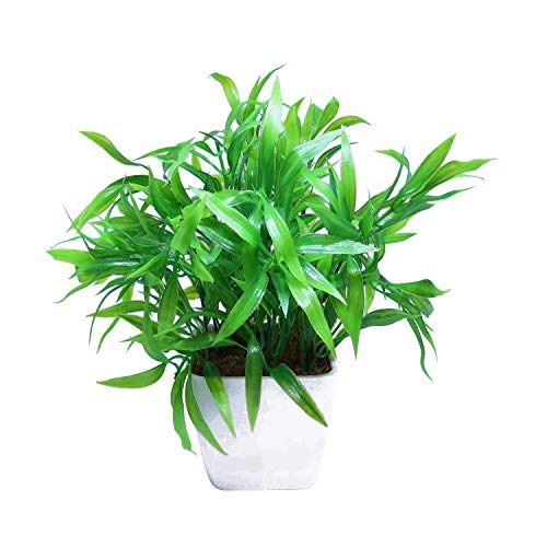 Artificial Plants Price List In India