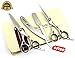 *** IN STOCK AGAIN on DEMAND *** 3 X Professional Hair Cutting & Thinning Scissors Shears Hairdressing Set