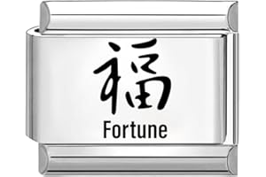 Quiges Charm Link in acciaio inox 9mm compatibile con i braccialetti di stile Nomination #869