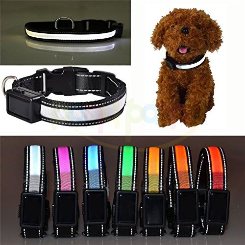 Solar Power LED Dog Night Safety Collar - USB Rechargeable Safety Twinkle Flashing Adjustable Coller - Great Visibility &amp; Improved Safety with Quick Release Buckle Puppy Pet Dogs Collar - Rainproof - Price Xes