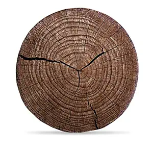 DreamVio Round Cushion/Foam Cushion Velvet Fabric Suitable for Wheelchair, Car Seat, Home, Outing Purpose (Multicolour, 14 x 14 inch) Design 160