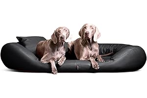 tierlando® Orthopädisches Hundebett Sammy Easy CLEAN mit viscoelastischer Matratze und hohem Rand aus Kunstleder für gelenkschonenden Schlaf und höchsten Komfort Größe: 100x85cm | Farbe: 02 Graphit