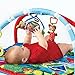 Baby Einstein Caterpillar and Friends Play Gym