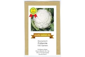 EXOTIC-SAMEN Blumenkohl - Frühernte - 100 Samen