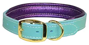 Perri's DC101 Metallic Padded Leather Dog Collar, X-Small, Turquoise/Purple