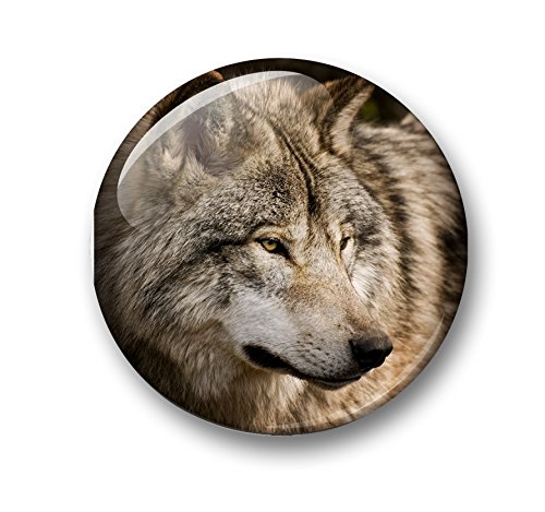 Wolf Wölfe Grauwolf europäischer Wolf – 6 große Kühlschrankmagnete Ø 5 cm [ 02 ] für Memoboard Pinnwand Magnettafel Whiteboard - 3
