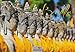 BUDDHA Kalender 2016: Buddhistische Lebensweisheiten by 