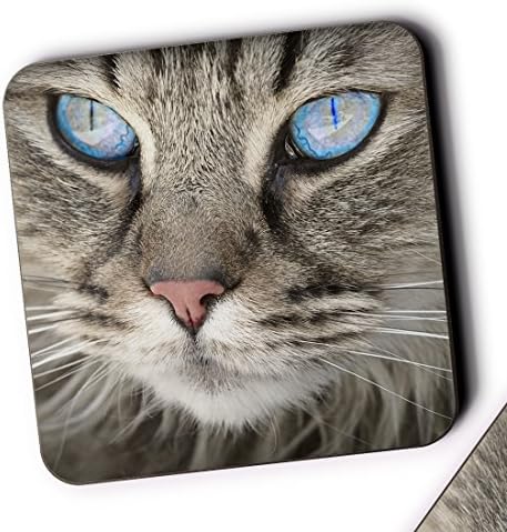 Cute Cat Blue Eyes Grey Moggy Pet Glossy Mug Coasters Set Of 4 - CO24 - MuggyBug