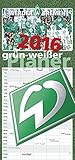 grün-weißer Planer 2016 by
