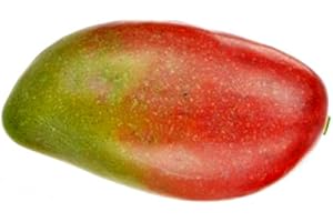 FloristryWarehouse Mango Fruta Artificial 12 cm