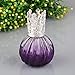 Anddas Set of Crystal Glass Fragrance Diffuser Effusion Oil Lamp Gradient Purple Water Wave Design (100ml)