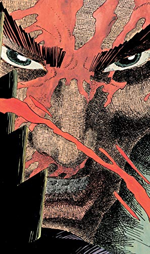 Preisvergleich Produktbild Frank Miller's Ronin