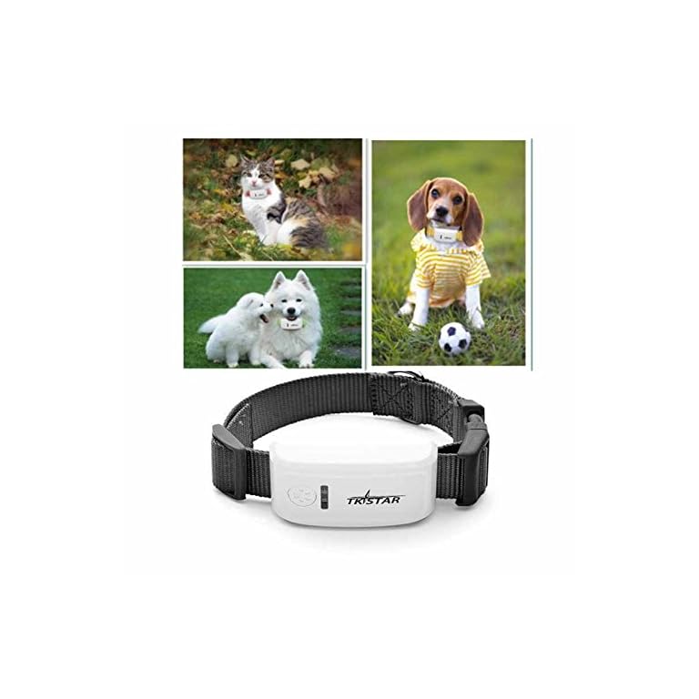 Tractive GPS Pet Tracker Dog Gadgets Store