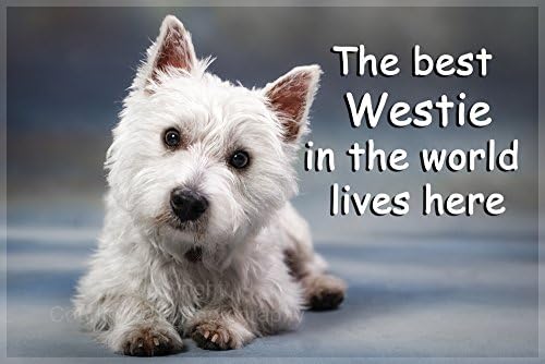Westie West Highland White Terrier Fridge Magnet Gift- The Best Westie in The World Lives here