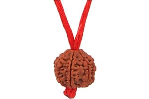 55Carat Elija su Nepali Nepali Nepali RUDRAKSHA 1 A 13 MUKHI Gaesh Gauri Shankar Simple Colgante con Hilo Rojo Shiva Astrología Joyería para Hombres Mujeres