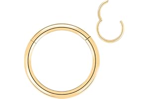 Artskin Grad 23 Titanium Scharnier Nase Ringe Hoops Körper Piercing Ringe Helix Knorpel Rook Ohrringe 20G 18G 16G, Durchmesser 6mm-10mm Schwarz/Silber/Gold/Rose Gold/Pink