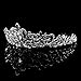 Wedding Bridal/Bridesmaid Floral Rhinestone Tiara Crown 11.42"