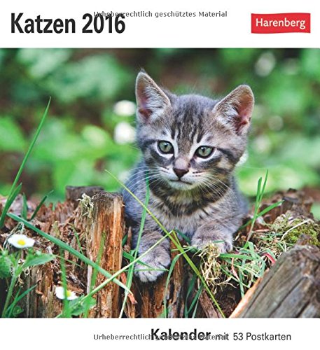 Katzen 2016: Kalender mit 53 Postkarten