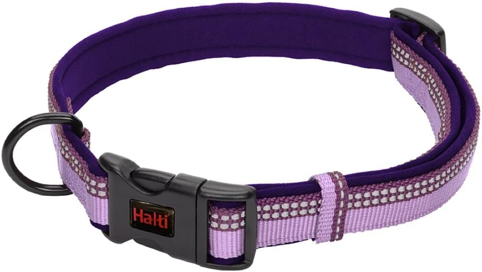 Company of Animals Halti Tasma, XS, Mor | Neopren astar ve 3M yansıtıcı kumaş ile ayarlanabilir bant. Hafif ve küçük köpekler için ideal