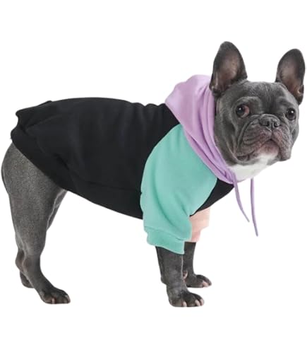 EXPAWLORER Hunde-Kapuzenpullover Karomuster – Warmer Hundepulli Mit Leinenloch & Snacktasche | Für Hunde & Katzen, Mehrfarbig | Grün
