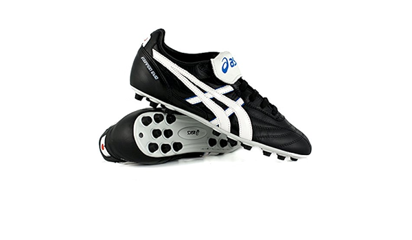 asics nippon evo