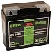 Produktbild Orbis Gel51913 Motorradbatterie - BMW mit ABS 51913 12 Volt 21 Ah 330 A