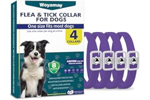 Woyamay Collier Anti Puces pour Chien, 4 Paquet Réglable Résistant à l'eau Collier Chien Anti Puces et Tiques, 8 Mois Naturel Collier Anti Tique Chien pour Chien Toutes Races et Tous âges - Violet