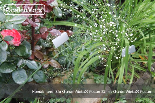 GardenMate® 25er Set Pflanzschilder Poster XL 55 cm aus Metall - 4