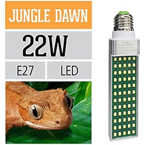 Ardacia AJD22 Jungle Dawn Lampe, 22 watt