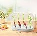 Prehelife Detachable Baby Bottle Drying Rack Tree Shape Feeding Bottle Pacifier Hanging Bottle Rack with Dust Cover