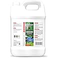 AquaNature PimaCure Treats Fungal Fish Infection for Freshwater Aquaria (1Ltr)