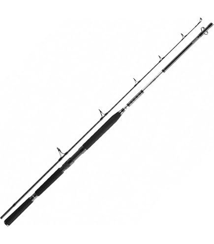 Penn Wrath II Canna Da Barca - 3 Classi Di Peso (12-50lb) Per Spigola, Halibut E Pesca In Mare - 2