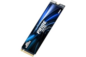 KingSpec ONEBOOM X400 SSD Interne 1To M.2 NVMe 2280 PCIe Gen4 - Mémoire 3D TLC NAND pour Gaming, Vitesse de Lecture jusqu'à 7400 Mo/s - Compatible PS5/PC/Ordinateur Portable