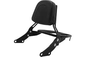 FENGREN Motorcycle Passenger Backrest Sissy Bar Luggage Rack for Triumph Bonneville T100 T120 Street Scrambler &Street Twin 2017-2022