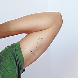 Fische - 2 Temporäre Tattoos