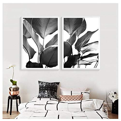 Wwjwf Hojas De Plátano En Blanco Y Negro Impresiones Arte Moderno De La Pared Pintura De Lienzo Tropical Arte Botánico Carteles Cuadro De Hoja De Palma Decoración para El Hogar 50X70Cmx2 Sin Marco
