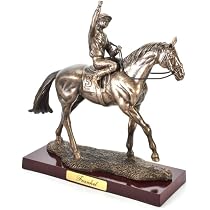 Des Chevaux Miniatures Disputent Leur Championnat De France Ce Week-end à Vichy - La Montagne