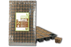 SURDEFENS Eazy Plug Stecklingsblöcke Tray mit 150 Stück