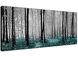Dimensiones: 120 x 50 cm (ancho por alto).