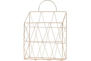 Wankd Zeitschriftenhalter hängenden Wand montiert Zeitung Periodensystem Buch Dokument Datei Veranstalter Korb Metallregal Lagerbehälter Display-Ständer (Gold, 25.5 * 10 * 38cm)