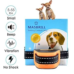 MASBRILL Collar antiladridos para Perros pequeños y medianos – Sonido vibración Perro Barking Collar de Entrenamiento de Control Hebilla Dispositivos Anti ladrido Deje de Perro ladrando (S, Verde)