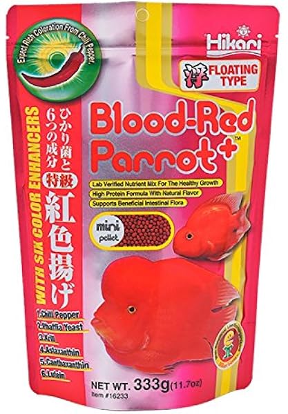 Buy Hikari Blood Red Parrot With Floating Fish Food Mini 333 G Online At Low Prices In India Amazon In
