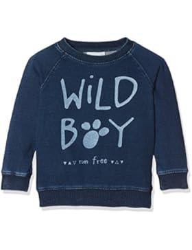 NAME IT Baby-Jungen Sweatshirt Nitfilsa Sweat M Mini