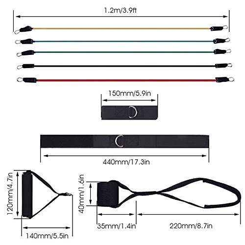 Giwil 12 Teile Fitness Resistance Bands Widerstandsband Set Widerstandsbänder + Trainingsguide – Pro Expander Band Tubes – Widerstandsbandset: 5 Widerstandsbänder + Griffe, Türanker & Fußschlaufen für Yoga Pilates Reha-Sport Physio-Gymnastik Für Männer Frauen - 2