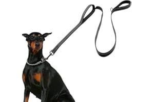 Correa Perro Grande, Correa adiestramiento Perro, HRYSPN Resistente con Dos Asas Acolchadas en Negro, 1,50 m