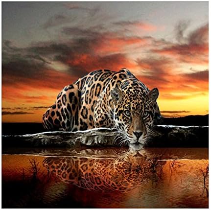 Uminilife Cute Animal DIY 5D Diamond Painting Wall Sticker Home Decor (15.75*11.81")