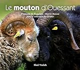Image de Le mouton d'Ouessant