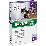 ADVANTAGE 80 mg f.gr.Katzen u.gr.Zierkaninchen 3.2 ml Lösung